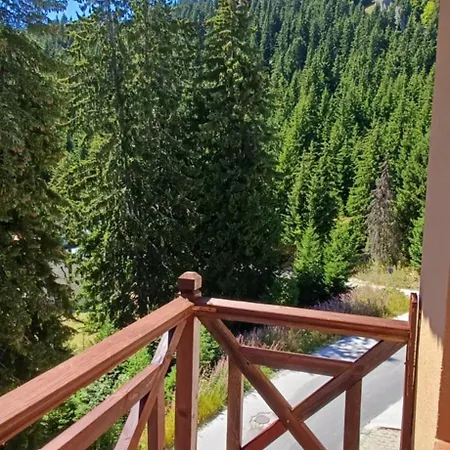 Apartamento борови хълмове