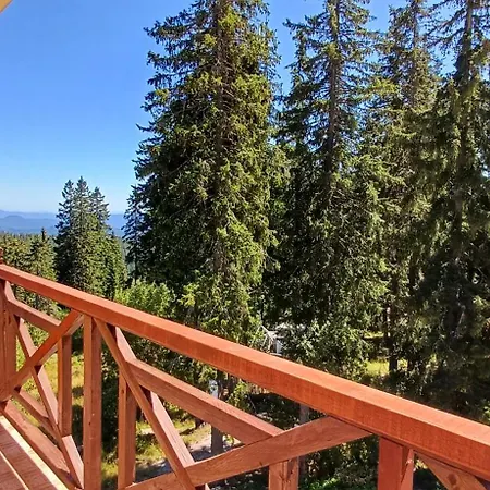 борови хълмове *