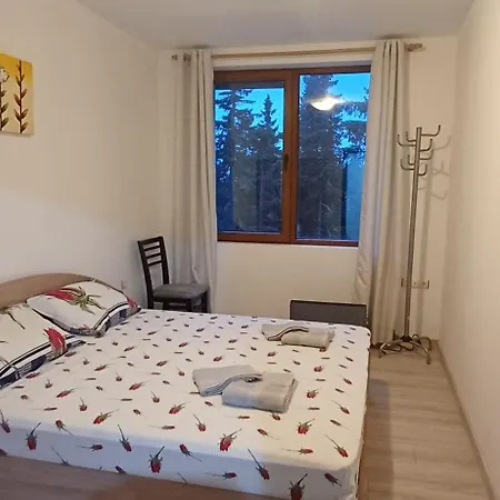 борови хълмове Apartment *