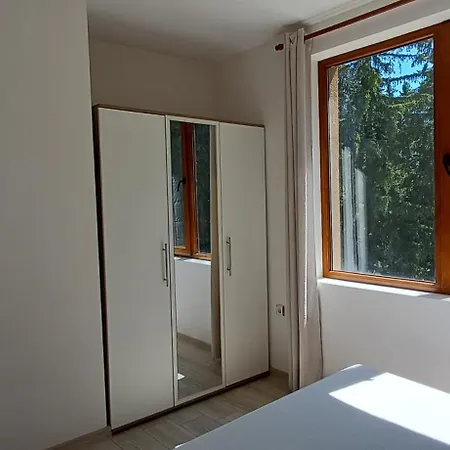 борови хълмове Pamporovo