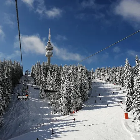 борови хълмове * Pamporovo