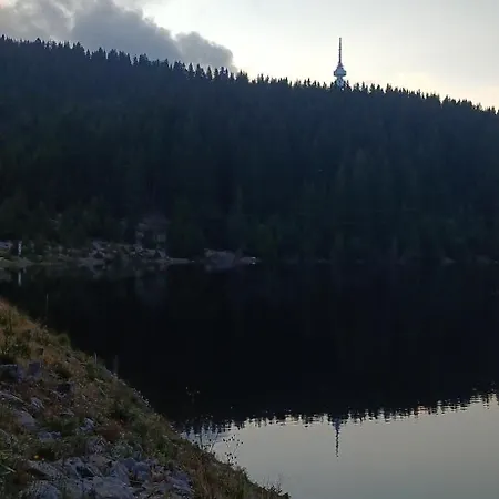 борови хълмове *
