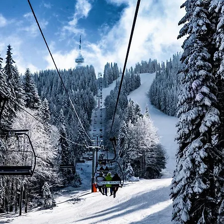 Lejlighed борови хълмове Pamporovo