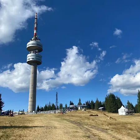 борови хълмове Lejlighed *