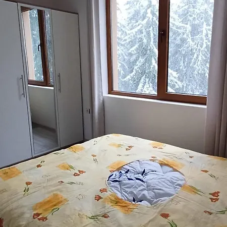 борови хълмове Apartamento *