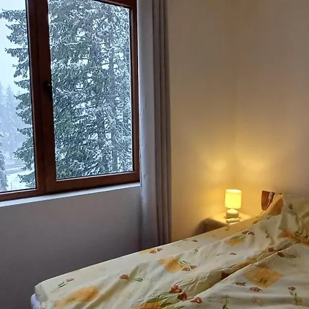 борови хълмове Apartamento *
