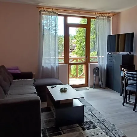 борови хълмове Pamporovo