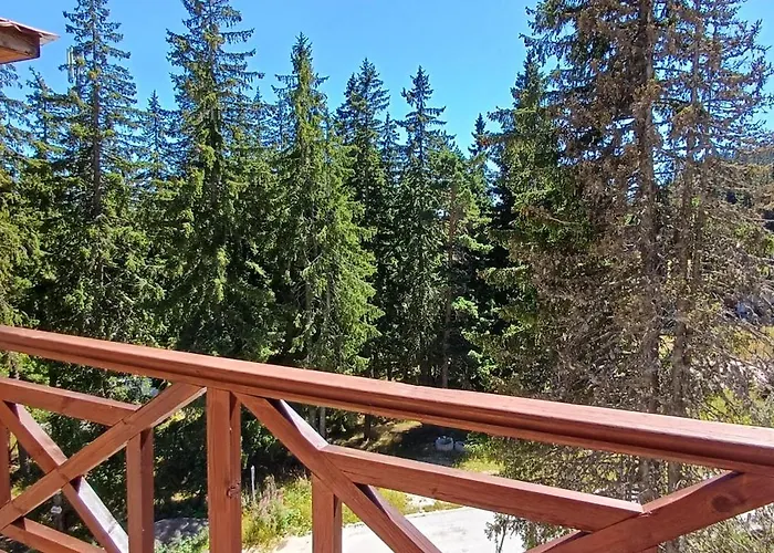 борови хълмове פמפורובו