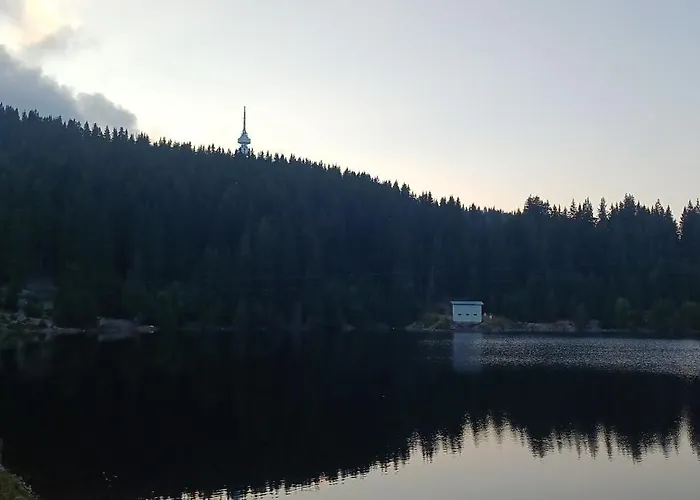 Апартаменты борови хълмове Пампорово