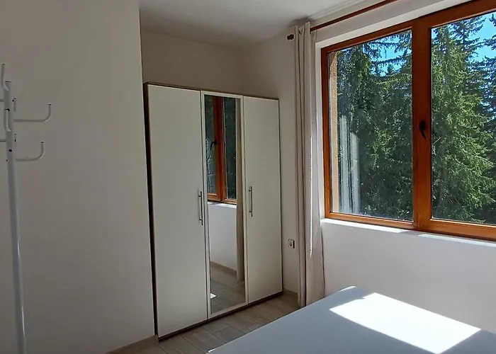 борови хълмове פמפורובו