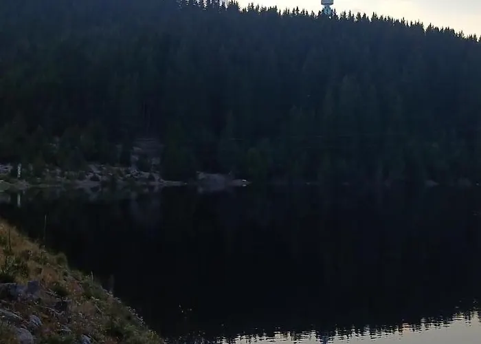 борови хълмове *