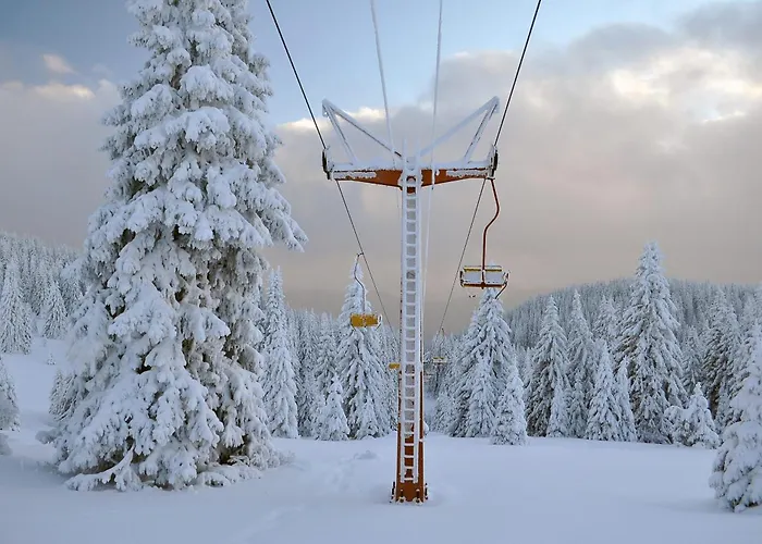 борови хълмове דירה