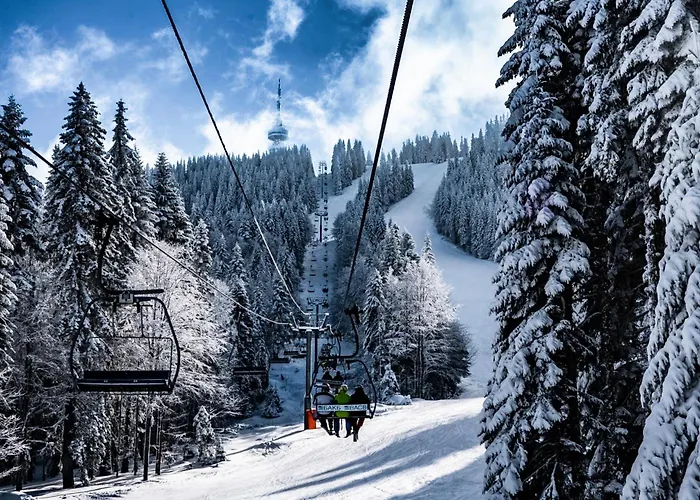 דירה борови хълмове פמפורובו