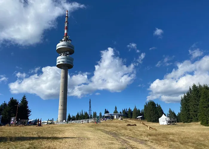 борови хълмове דירה *
