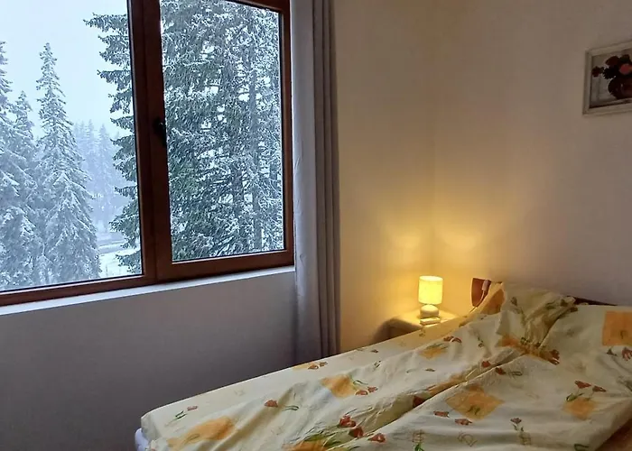 борови хълмове דירה *